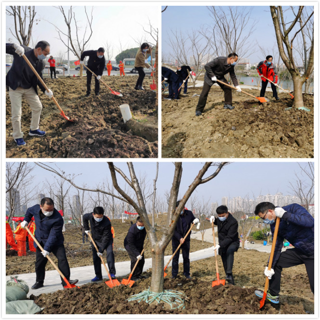 領(lǐng)導(dǎo)植樹拼圖PS.jpg 領(lǐng)導(dǎo)植樹拼圖PS.jpg