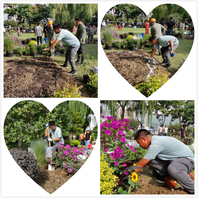 H:\施工過程.jpg H:\施工過程.jpg